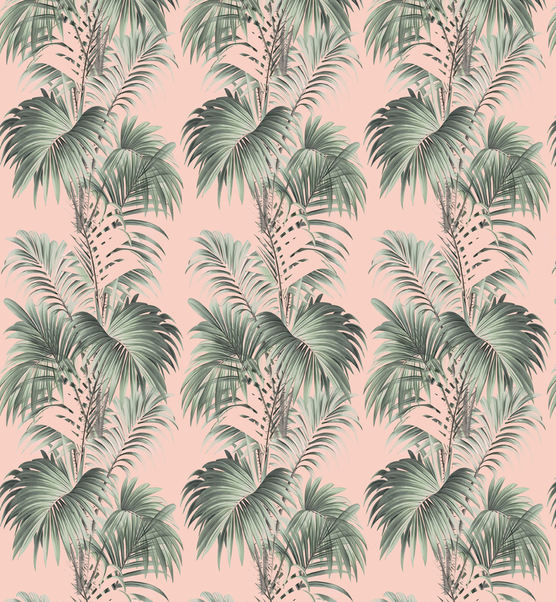 Wallpaper - Hollywood Palms 