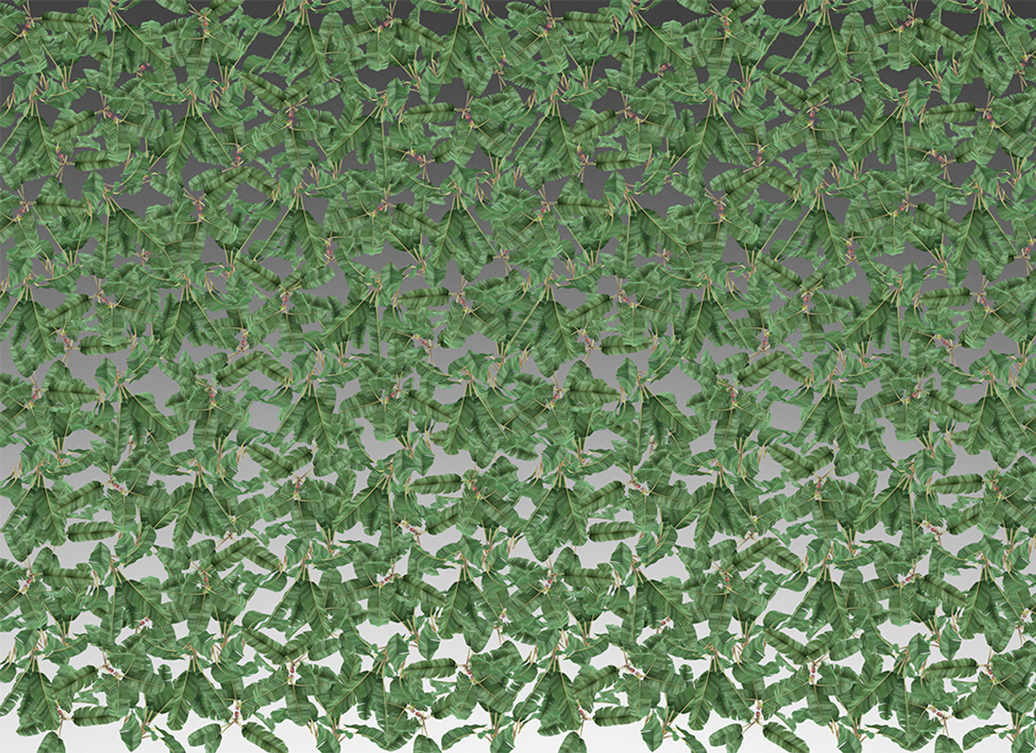 Wallpaper - Jungle Leaves 