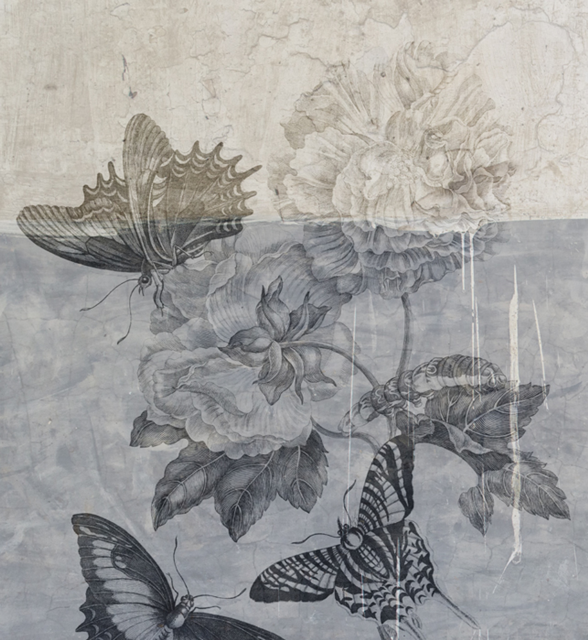 Fabric - Botanical Graffiti - Blue Butterfly Day