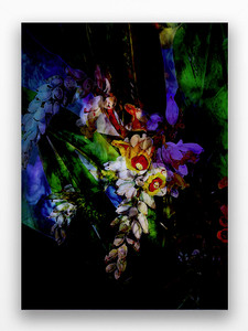 Art Print - Flower Power - Luminescent