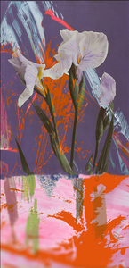 Fabric - Blurred Vision - Pink Iris
