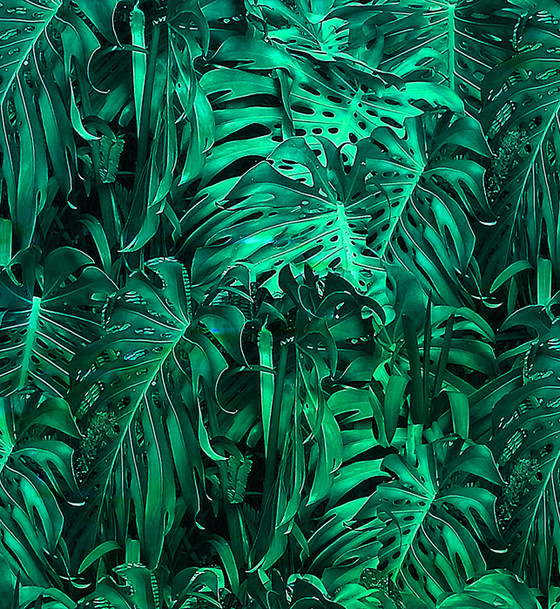 Wallpaper - Jungle Vibe - Metallic Green - Kerrie Brown