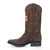 Gameday Men's Western Boot - Auburn Tigers