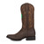 Gameday Men's Western Boot - Oregon Ducks