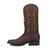 Gameday Men's Western Boot - Kentucky Wildcats