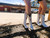Carrie - Gameday Women's Ivory Western Boot - Texas Longhorns Carrie - Gameday Women's Ivory Western Boot - Texas Longhorns