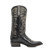 Gameday Men's Black Western Limited Edition Seal Boot - Texas Longhorns