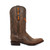 Shane - Gameday Men's Medium Round Toe Western Boot - Texas Longhorns