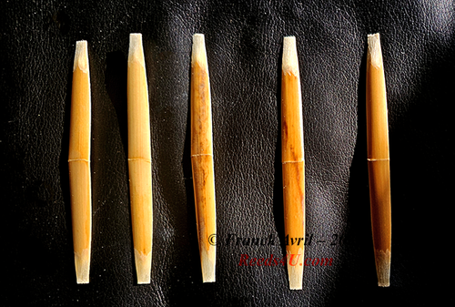 Shaped pieces of Cane