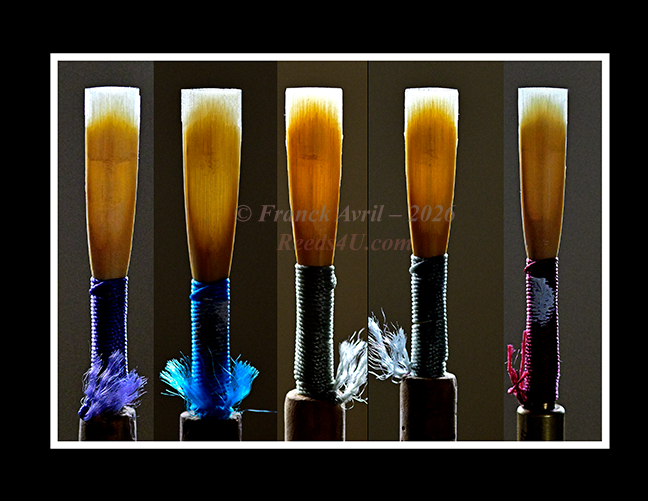Franck's Reeds (on different shapes)