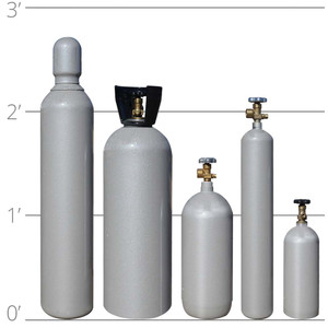 Silver Shield 8 (75% Ar/25% CO2)