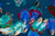 Supplier catalogue variety reference for HM Double Tail. Photo labels may differ from catalogue offer; not exact stock, sex or measured-size evidence.
