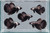 Generated aquarium illustration for HM Black Samurai. Not a supplier photograph, exact stock, sex or measured-size evidence.