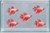 Generated aquarium illustration for HM Vanda. Not a supplier photograph, exact stock, sex or measured-size evidence.