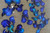 Supplier catalogue variety reference for HM Full Blue. Photo labels may differ from catalogue offer; not exact stock, sex or measured-size evidence.