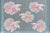 Generated aquarium illustration for HM Dumbo White. Not a supplier photograph, exact stock, sex or measured-size evidence.