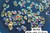 Supplier catalogue variety reference for HM Big Ear / Dumbo. Photo labels may differ from catalogue offer; not exact stock, sex or measured-size evidence.