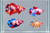 Generated aquarium illustration for PK Double Tail Candy Koi. Not a supplier photograph, exact stock, sex or measured-size evidence.
