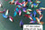 Supplier catalogue variety reference for VT. Photo labels may differ from catalogue offer; not exact stock, sex or measured-size evidence.