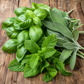 Basil Sage Mint Fragrance Oil
