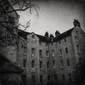Haunted Asylum Fragrance Oil