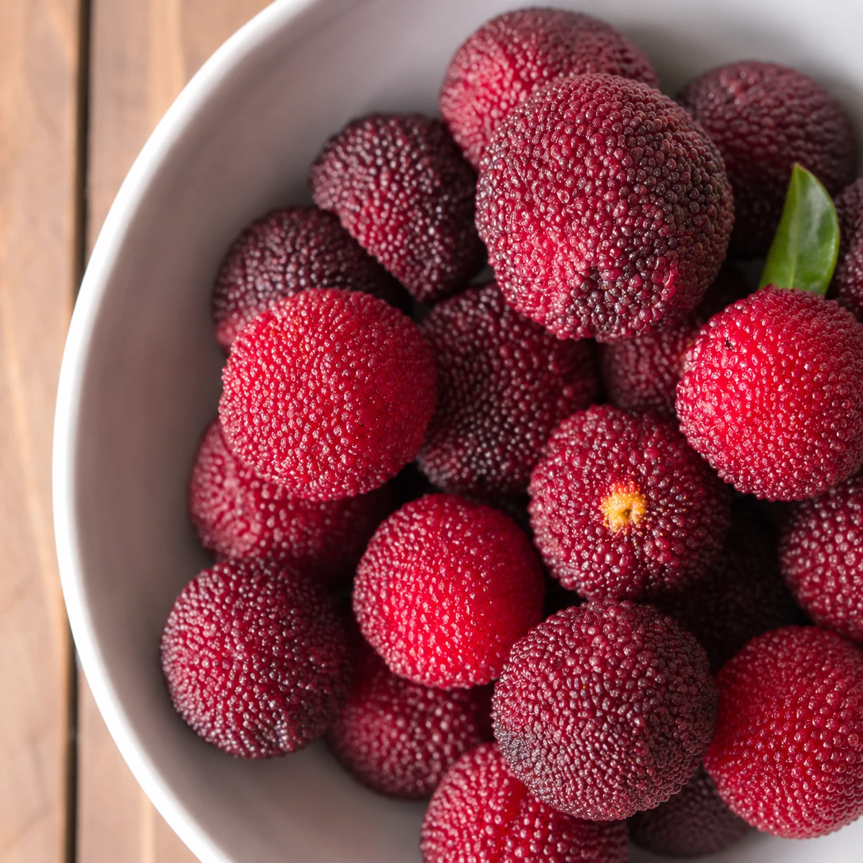 Bayberry Fragrance Oil