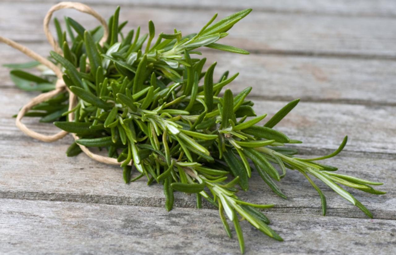 Rosemary Fragrance Oil