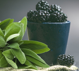 Blackberry Sage Fragrance Oil