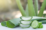 Aloe Vera and Cucumber Fragrance Oil