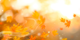 Autumn fragrance oil,fall fragrance oil,autumn dreams fragrance