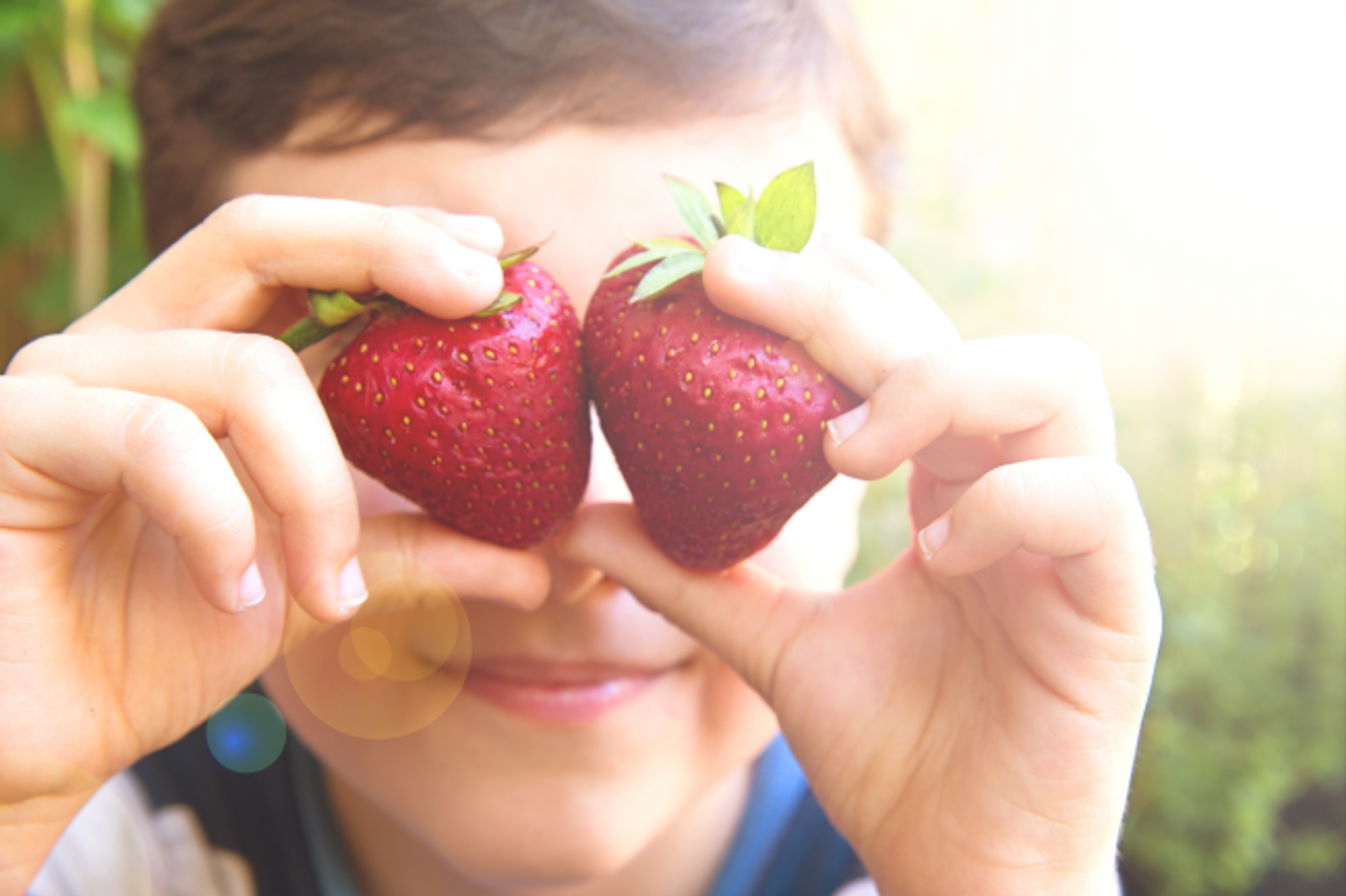 Fresh Picked Strawberry Fragrance Oil