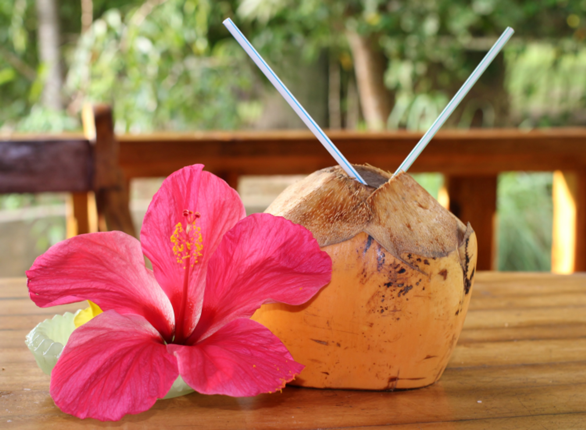 Coconut Hibiscus Fragrance Oil