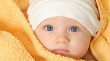 Baby Bee Buttermilk Fragrance Oil Baby Bee Buttermilk Fragrance Oil