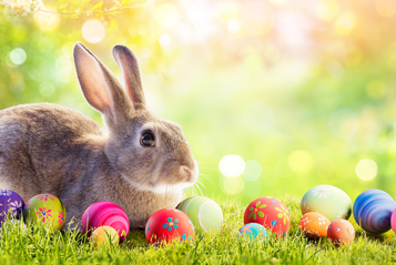 Happy Easter Fragrance Oil Happy Easter Fragrance Oil
