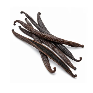 Vanilla Bean Fragrance Oil