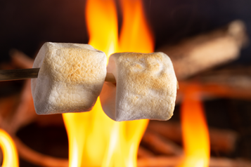Toasted Marshmallow Fragrance Oil Toasted Marshmallow Fragrance Oil
