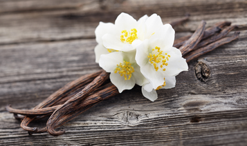 Jasmine Vanilla Fragrance Oil Jasmine Vanilla Fragrance Oil