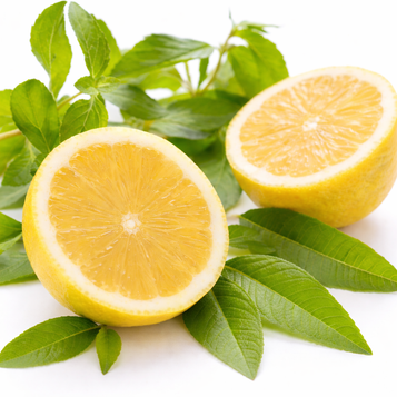 Lemon Verbena Fragrance Oil