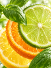 Cool Citrus and Basil Fragrance Oil