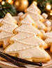Vanilla Bean Warm Noel Fragrance Oil