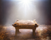Our Savior Is Born Fragrance Oil Our Savior Is Born Fragrance Oil
