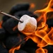 Marshmallow Fireside Type Fragrance Oil