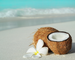 Coconut Beach Fragrance Oil Coconut Beach Fragrance Oil