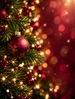 Holiday Twinkle Fragrance Oil