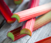 Rhubarb Fragrance Oil Rhubarb Fragrance Oil