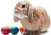 Easter Bunny Burps Fragrance Oil Easter Bunny Burps Fragrance Oil