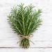 Rosemary Fragrance Oil