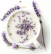 Lavender and Coconut Milk Fragrance Oil