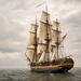 Bay Rum Fragrance Oil