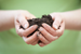 Mud Fragrance Oil Mud Fragrance Oil